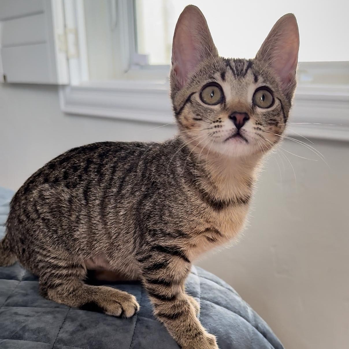 Eira — thumbnail 3