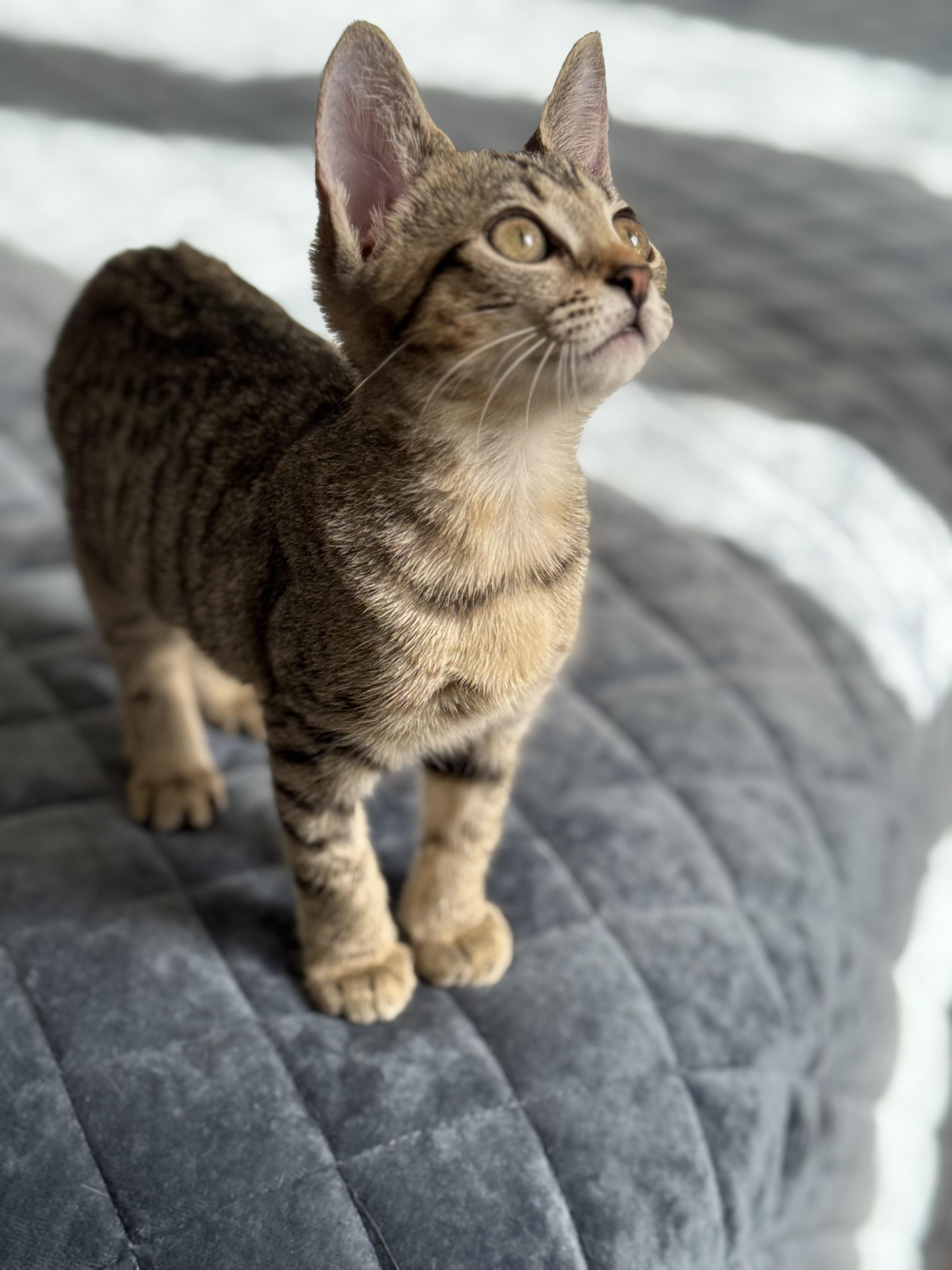 Eira — thumbnail 5