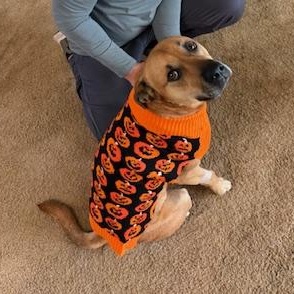 Kiki (Courtesy Post)