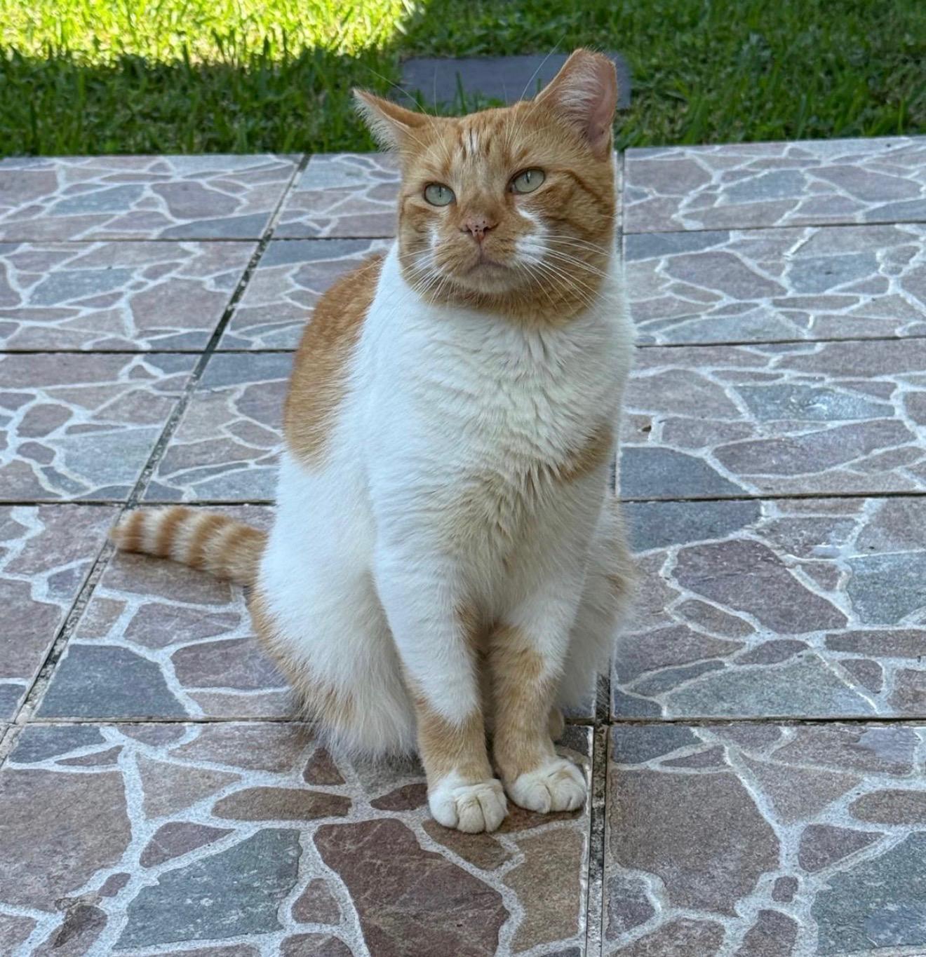 Mima and Tom — thumbnail 2