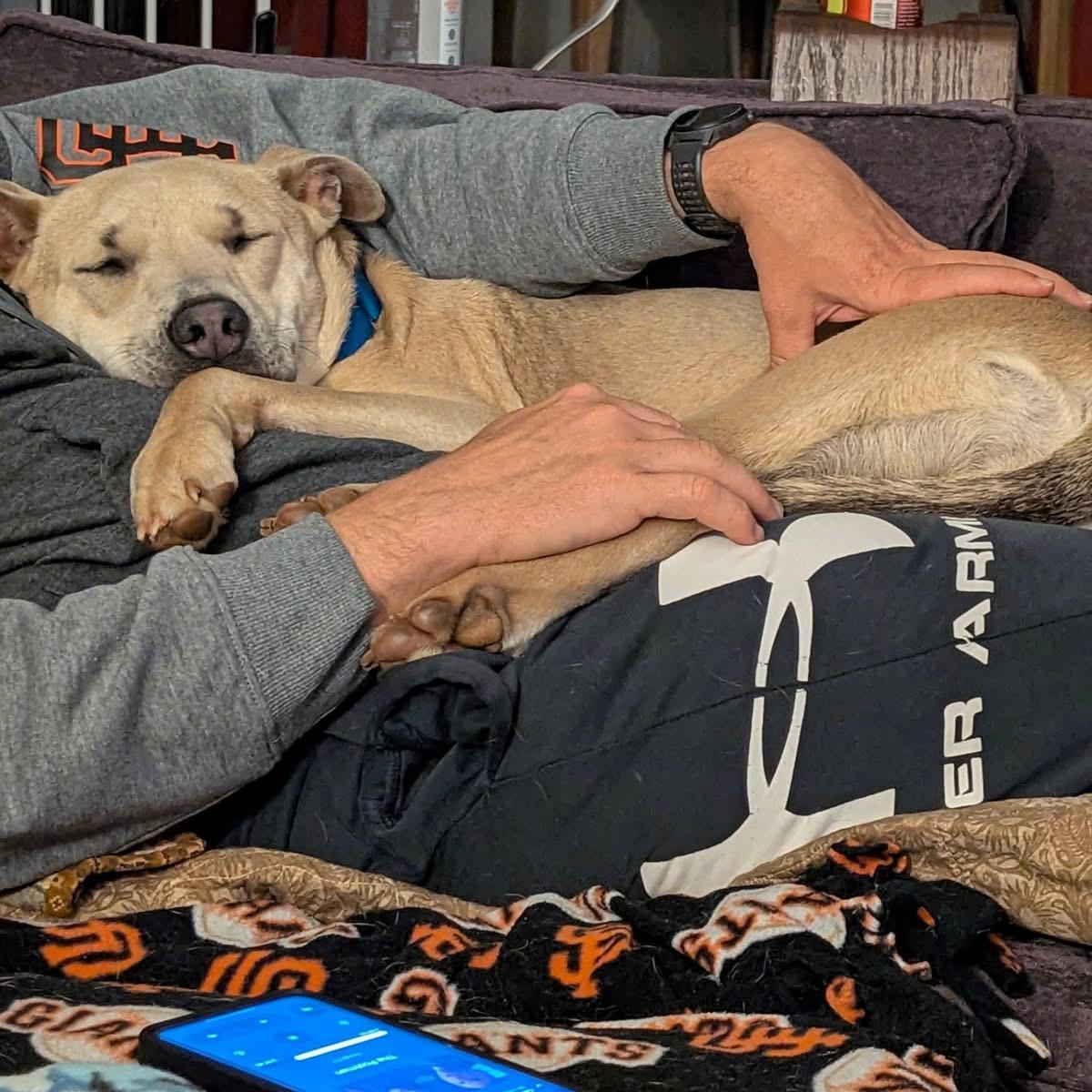 Rosie