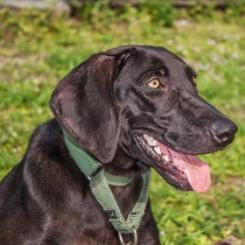 Fiona 1803 — thumbnail 2