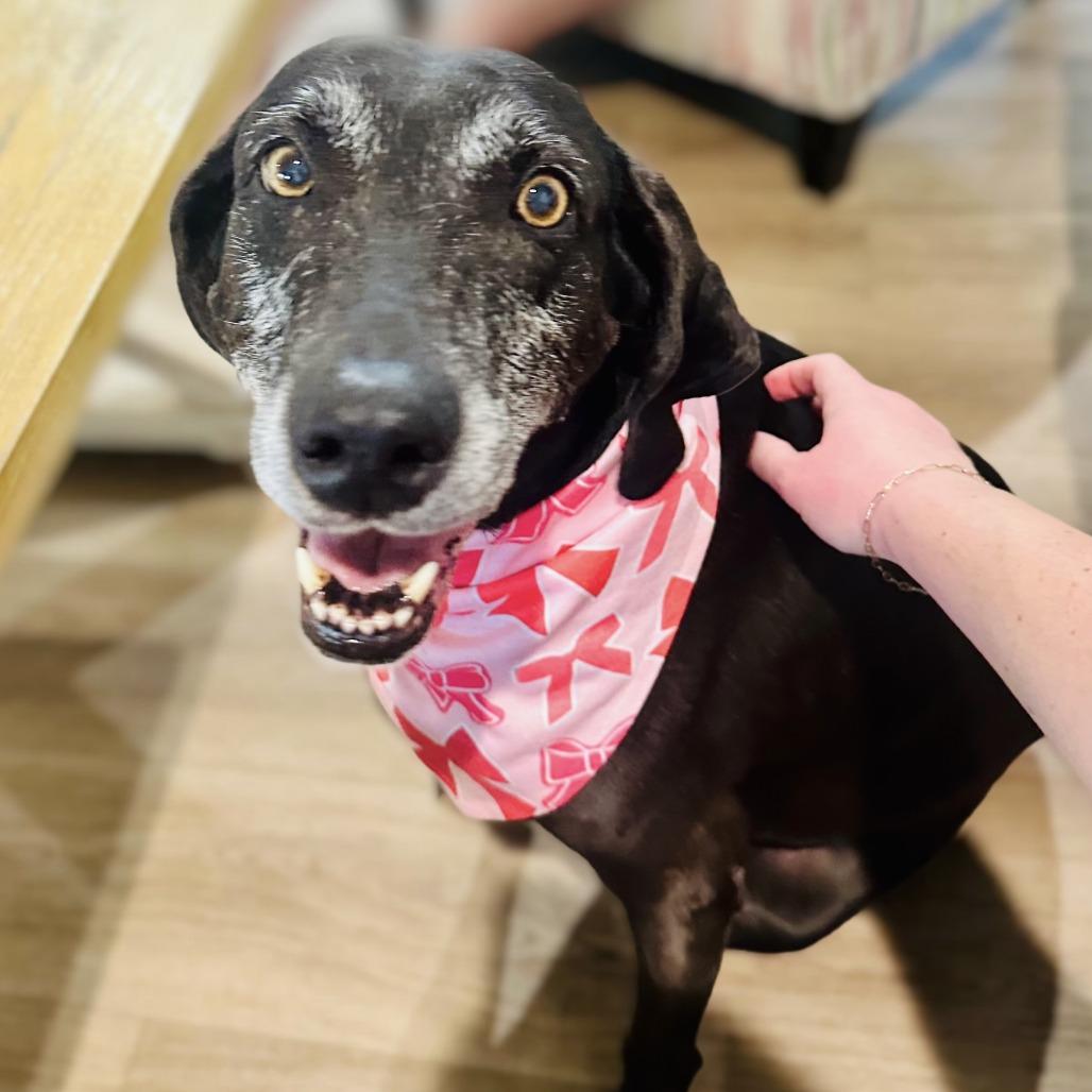 Fiona 1803 — thumbnail 3