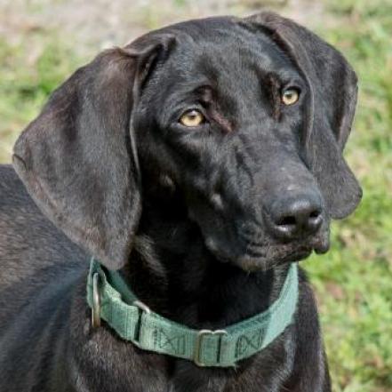 Fiona 1803 — thumbnail 5