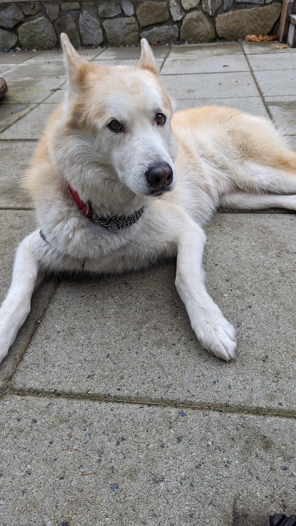 Jack photo 4