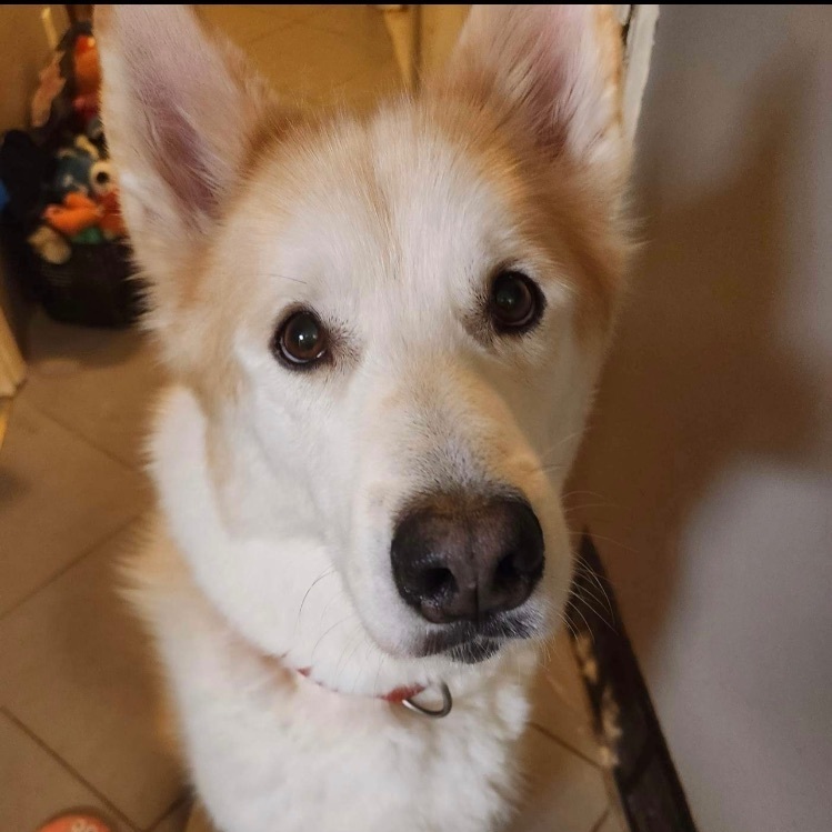 Jack photo 3