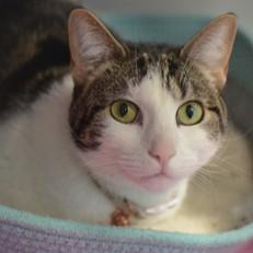 Nora @ Petsmart — thumbnail 2