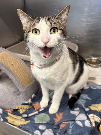 Nora @ Petsmart — thumbnail 3