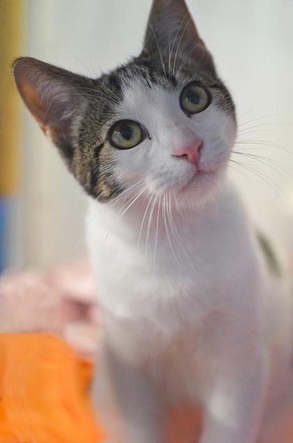 Nora @ Petsmart — thumbnail 4