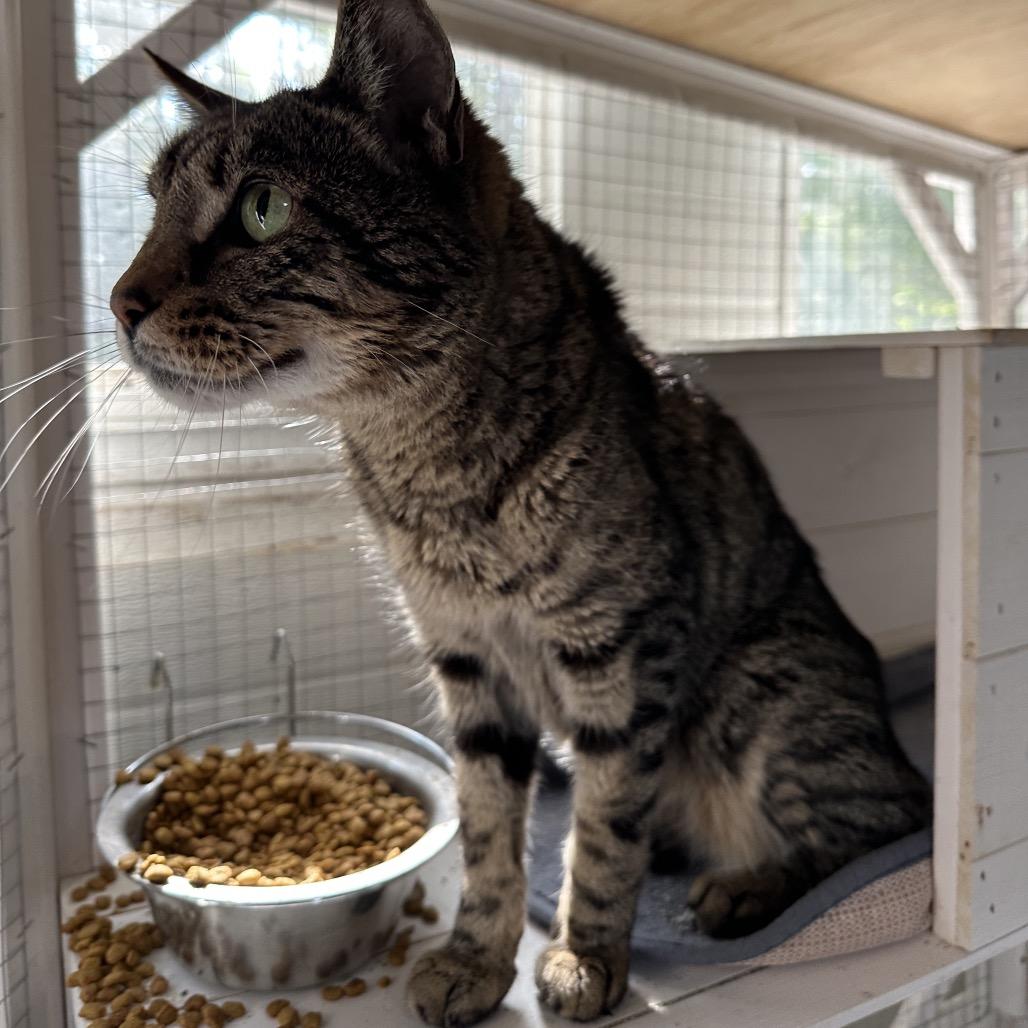 Manny — thumbnail 2