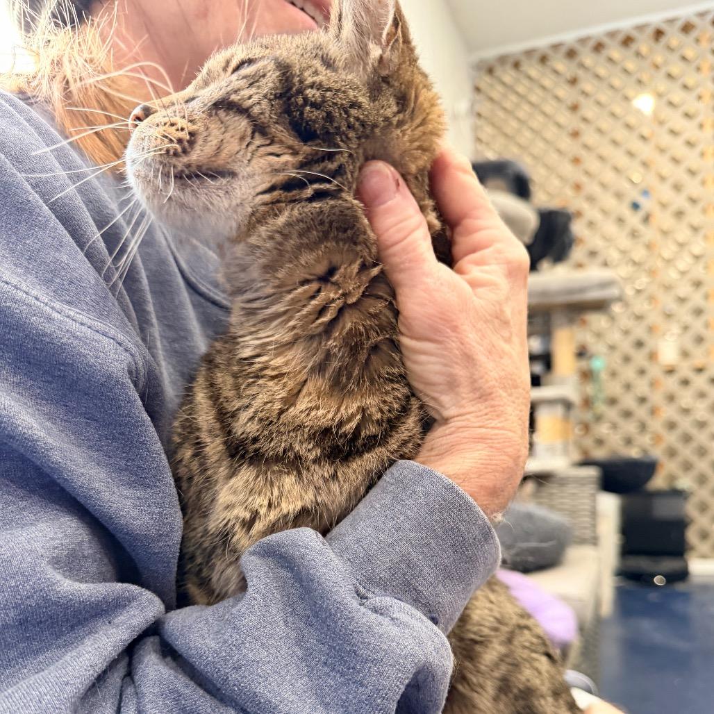 Manny — thumbnail 4