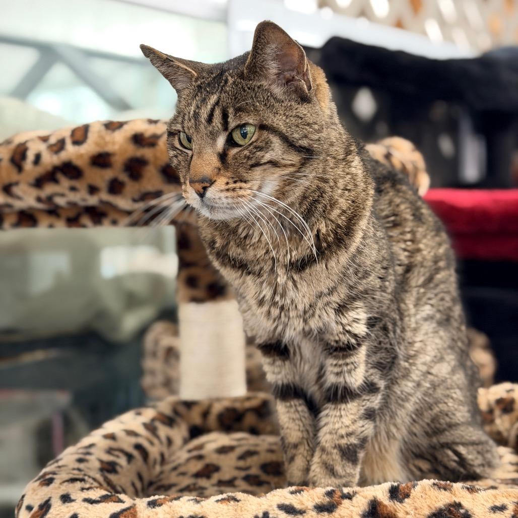 Manny — thumbnail 5