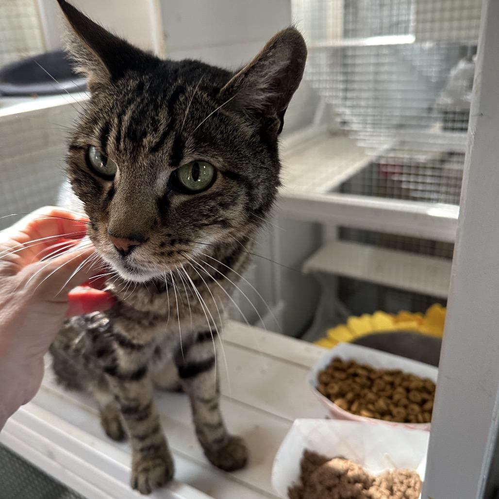 Manny — thumbnail 6