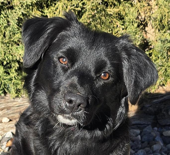 Simply Sweet Cinna ~ thumbnail 2