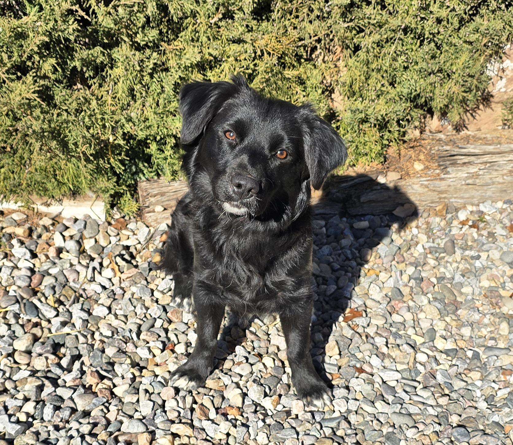 Simply Sweet Cinna ~ thumbnail 3