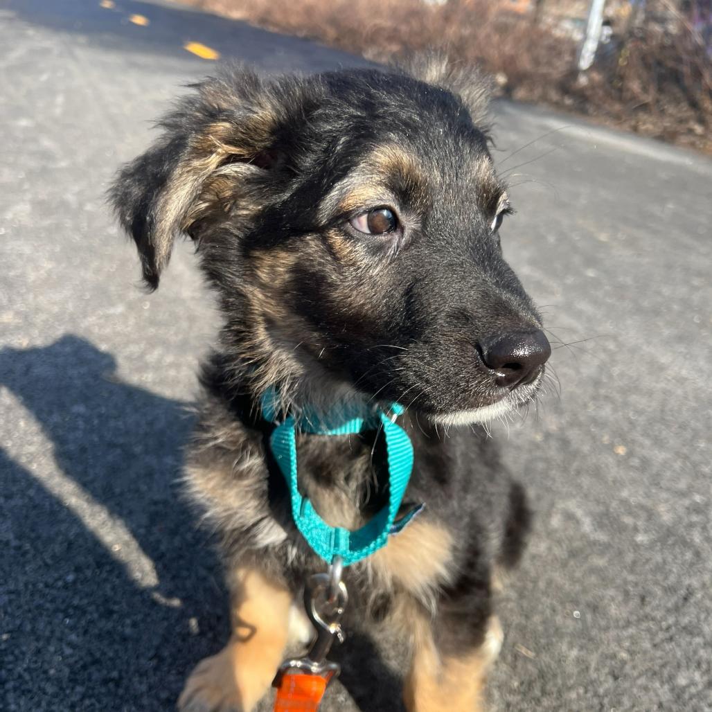 Gucci — thumbnail 2