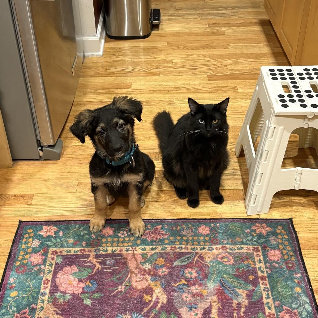 Gucci — thumbnail 3