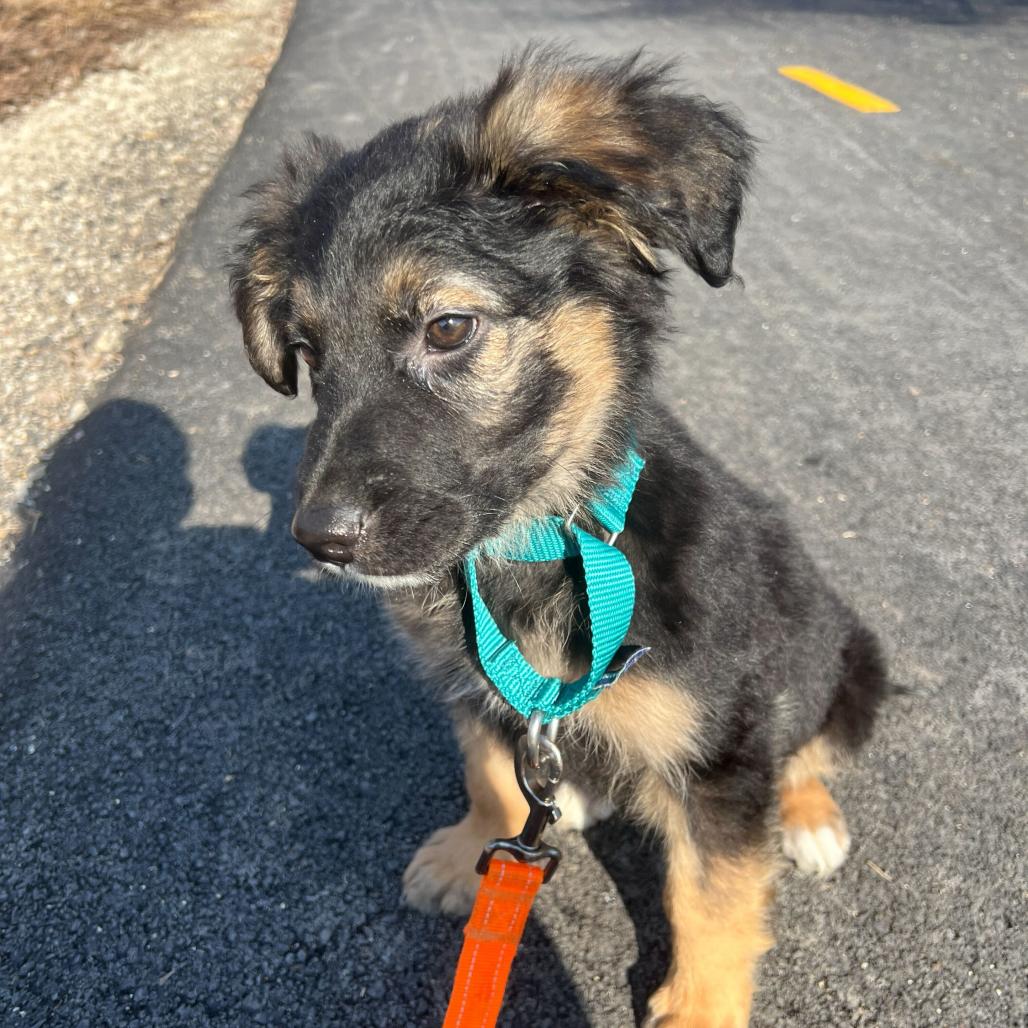 Gucci — thumbnail 4