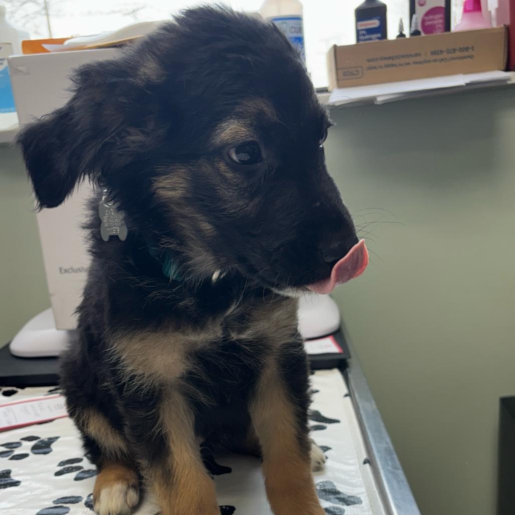 Gucci — thumbnail 5