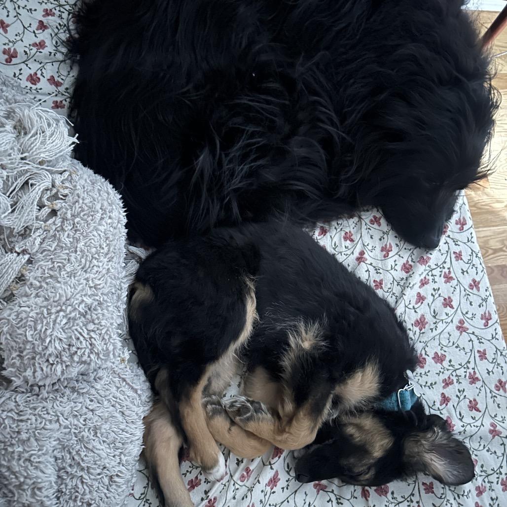 Gucci — thumbnail 6