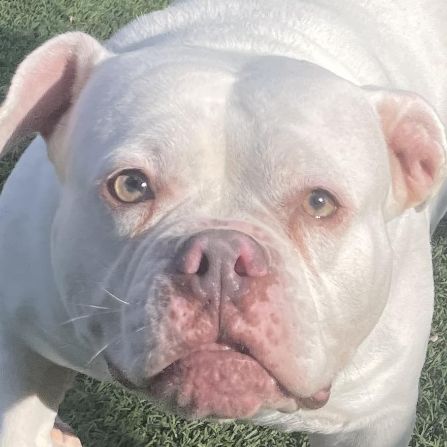 Wrigley — thumbnail 3