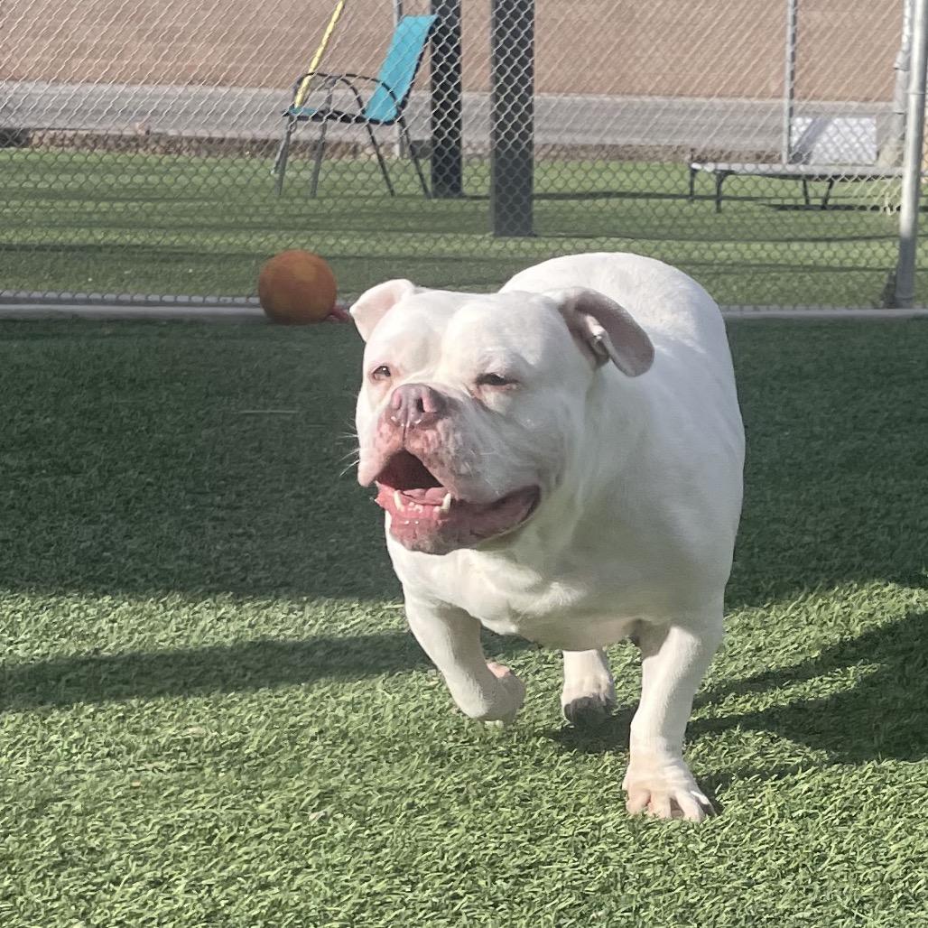 Wrigley — thumbnail 4