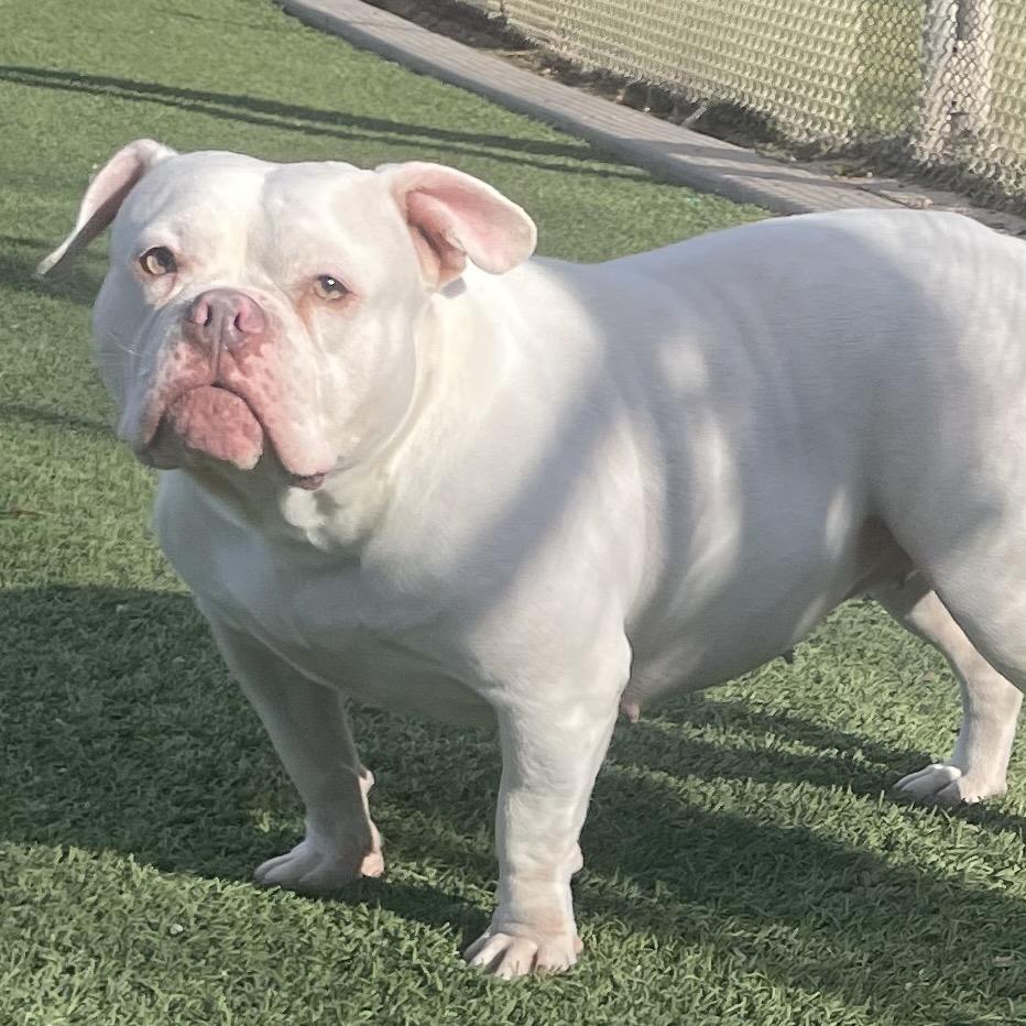 Wrigley — thumbnail 5