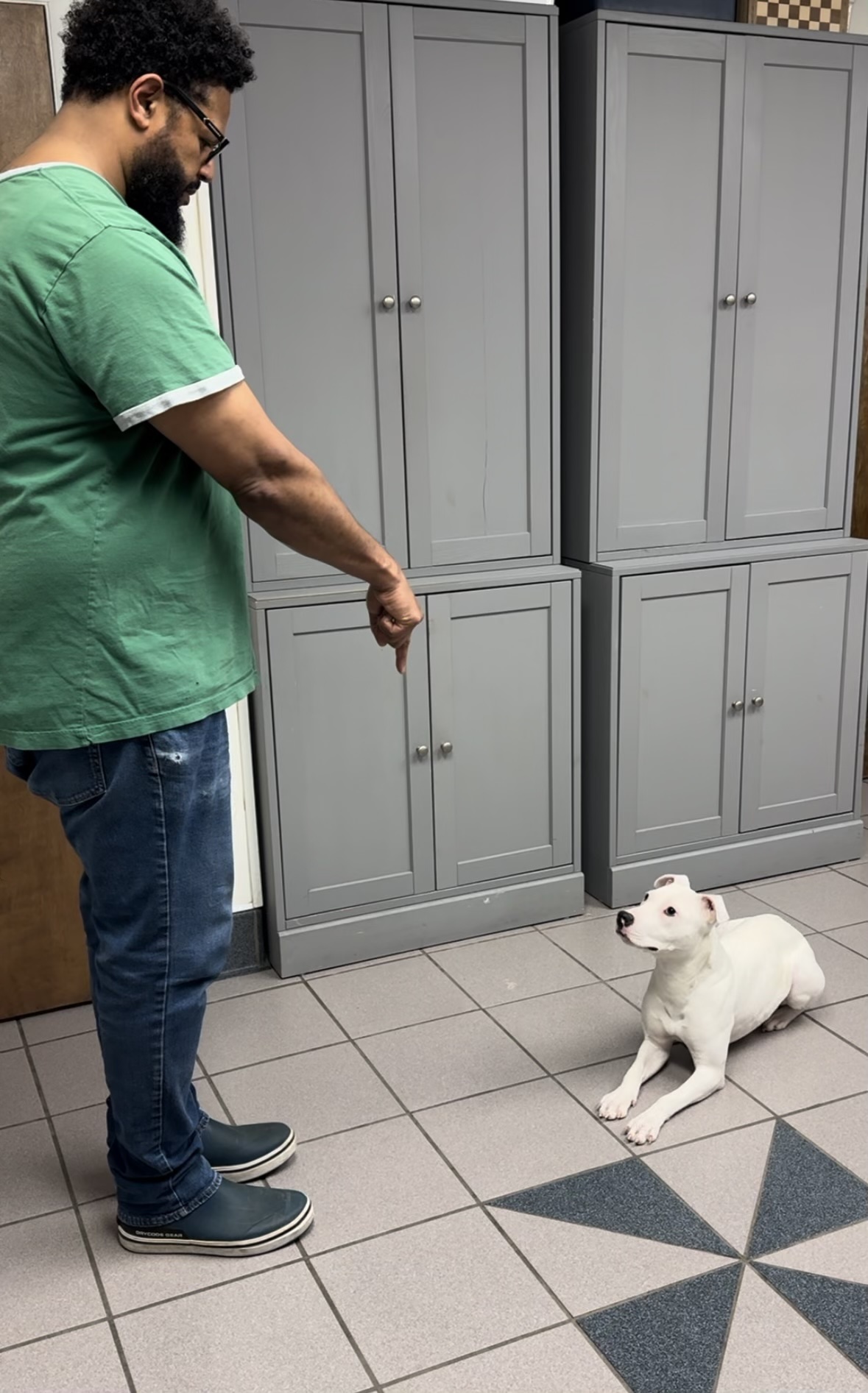 Doobie Doobie Do, a Adoptable mixed breed in Cincinnati, OH image 6/6