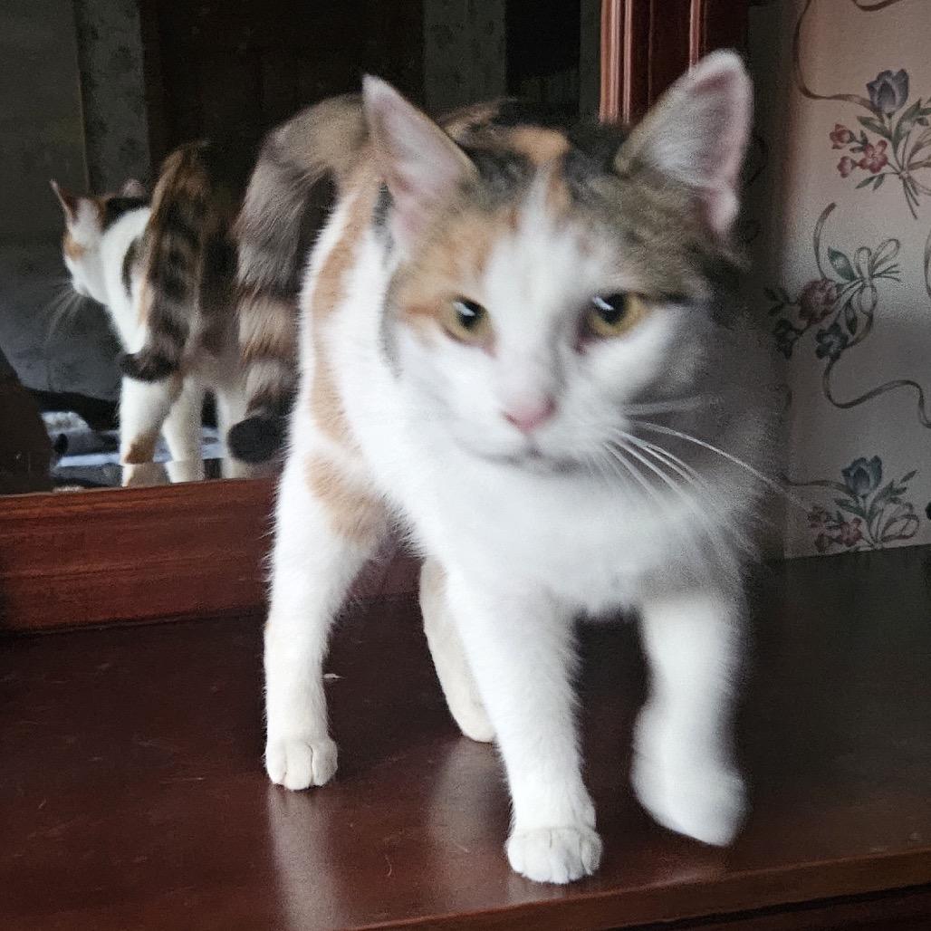 Baby — thumbnail 2