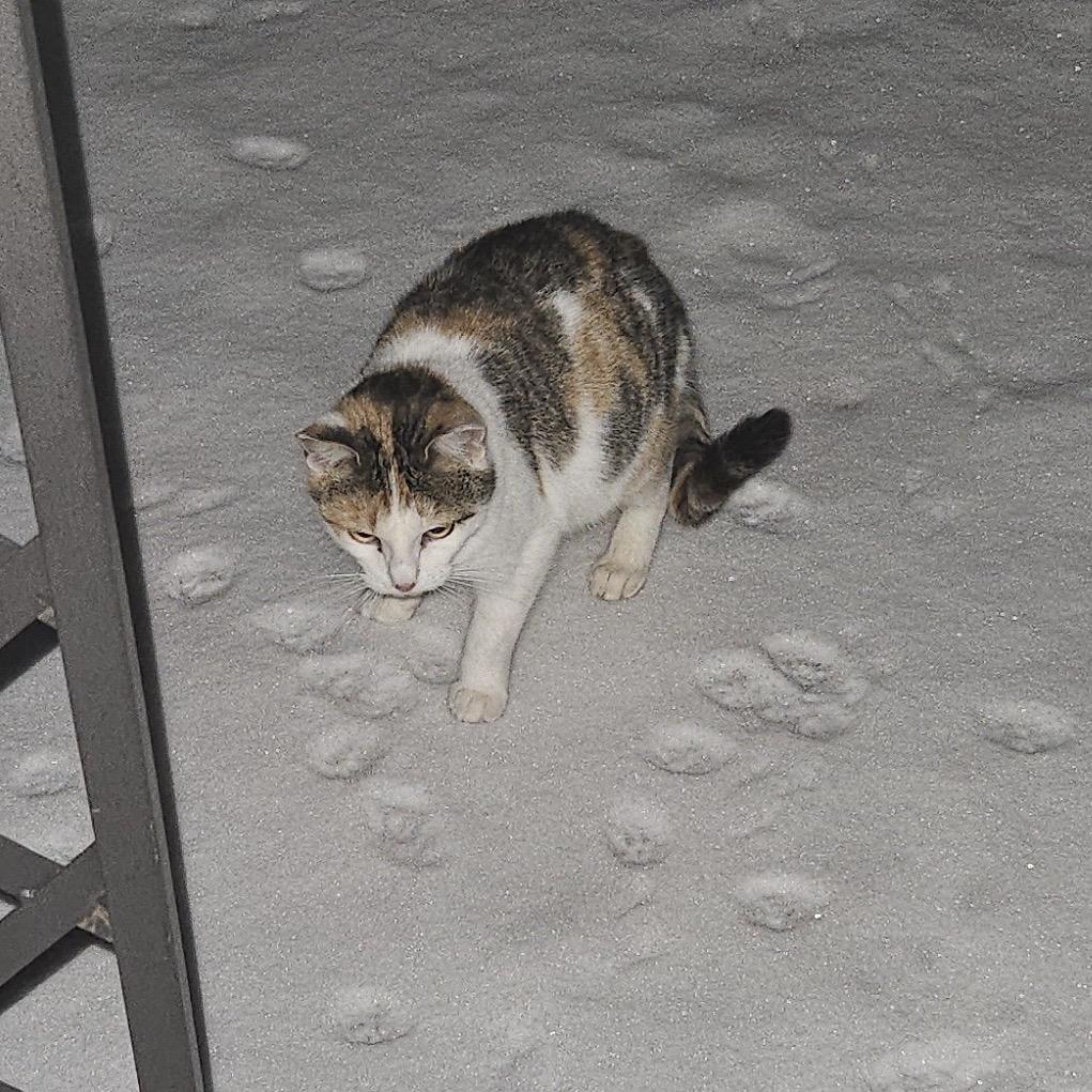 Baby — thumbnail 3