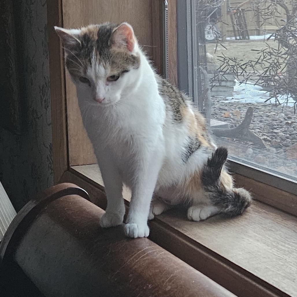 Baby — thumbnail 4