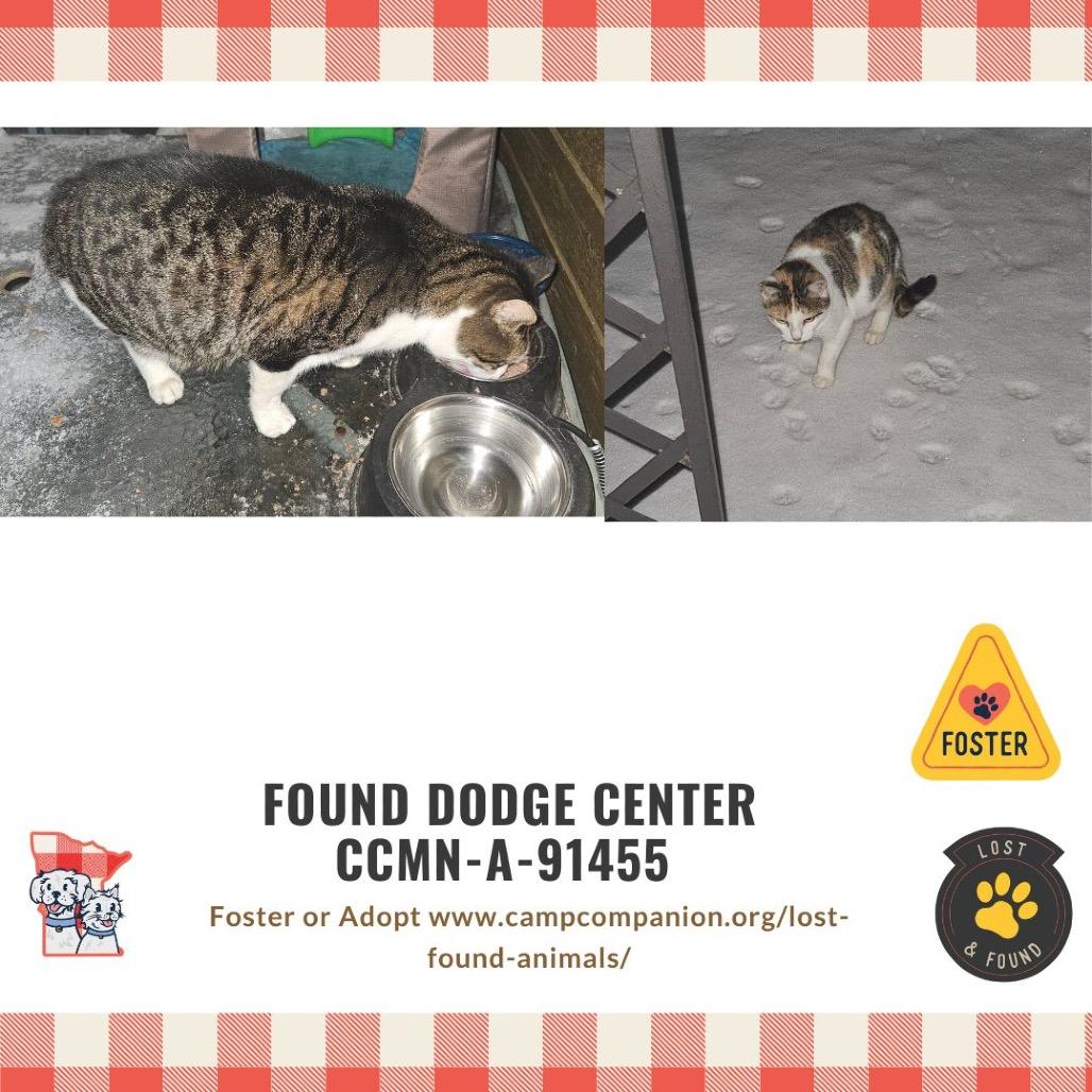 Baby — thumbnail 5