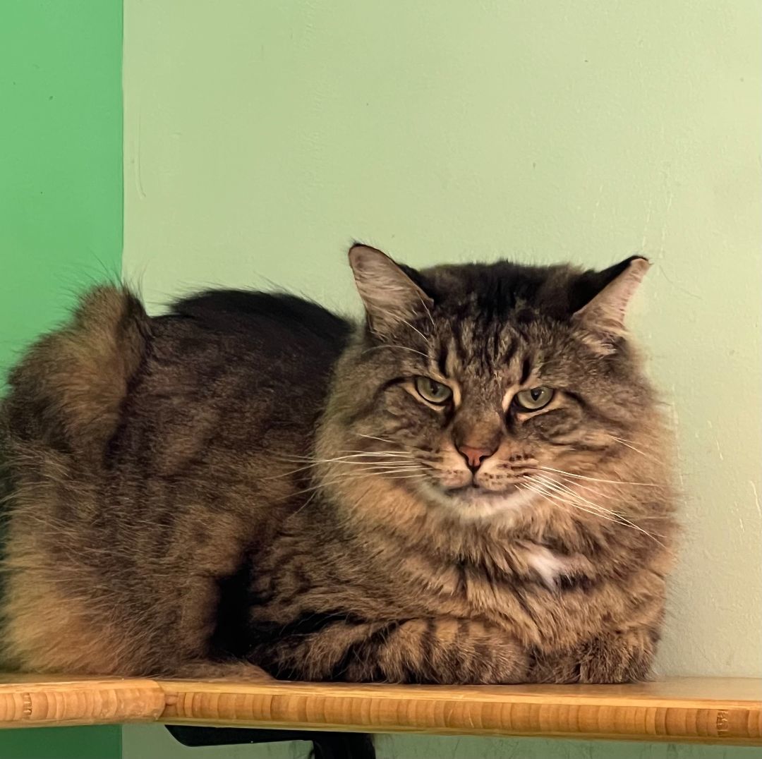 Hercules thumbnail 2