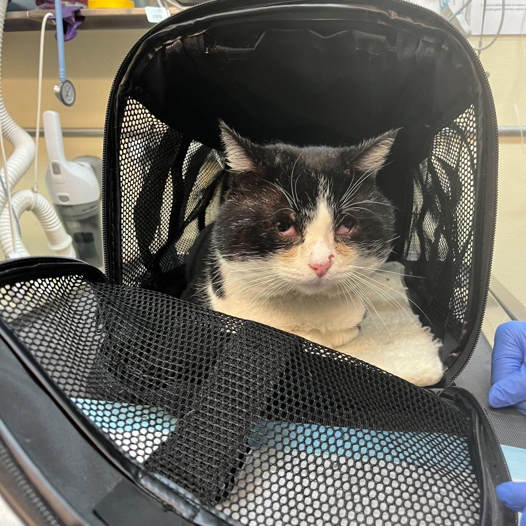 Jumbotron — thumbnail 3