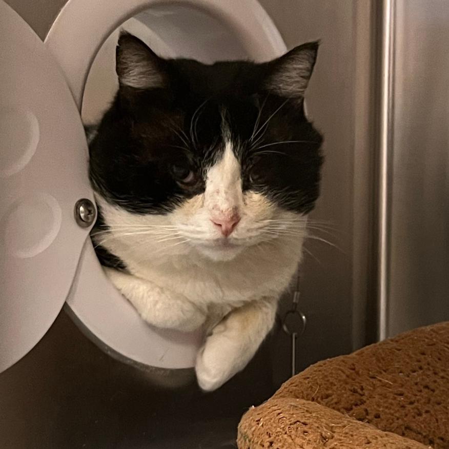 Jumbotron — thumbnail 4