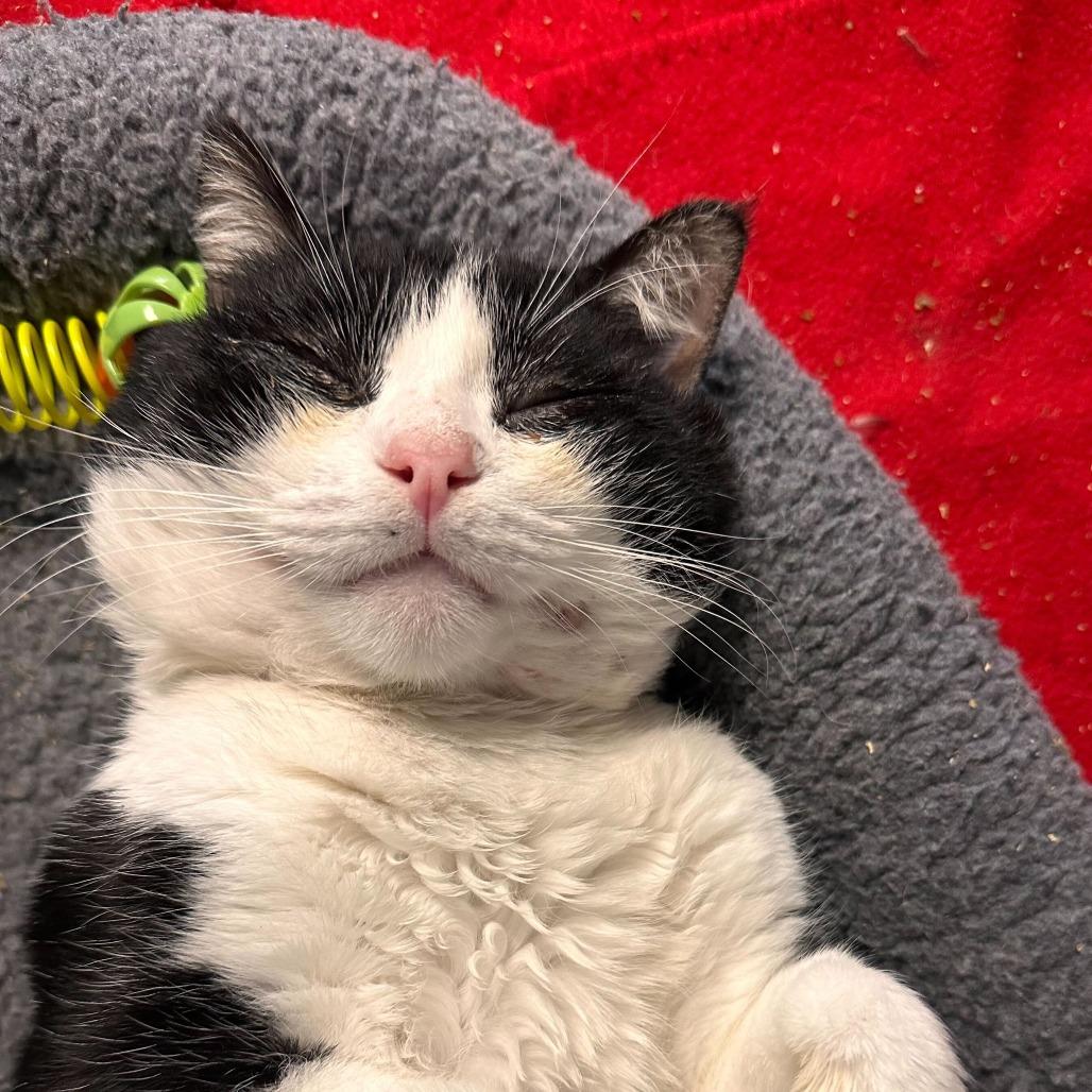 Jumbotron — thumbnail 5