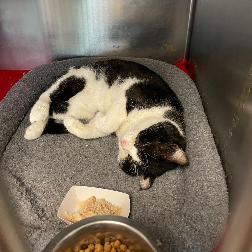 Jumbotron — thumbnail 6