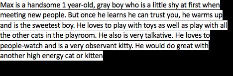 Enlarge Tate, a Adopted Domestic Short Hair in Evans City, PA image 2/7