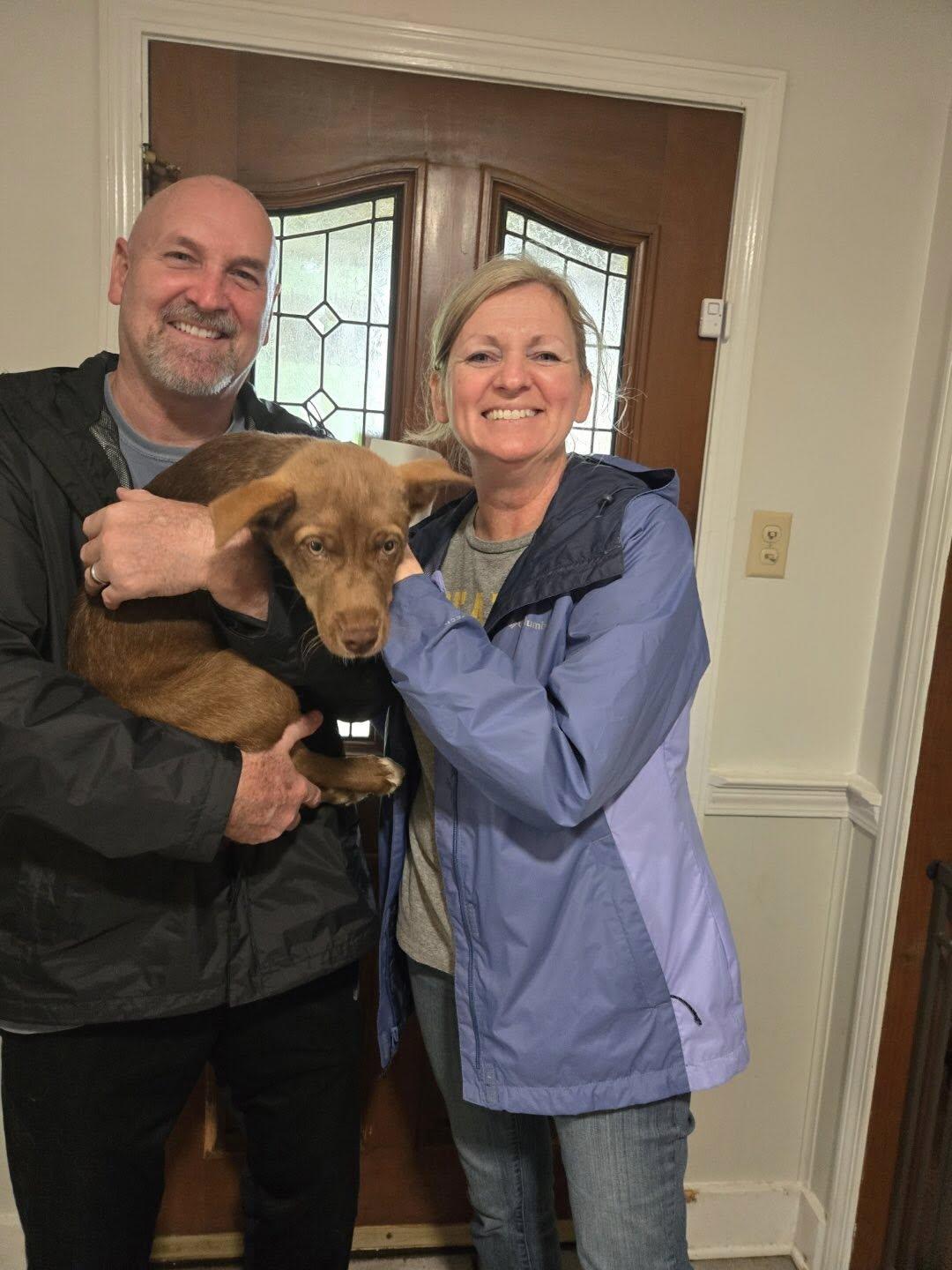 Ace - I Found a Home!, a Adopted mixed breed in Olive Branch, MS image 1/3