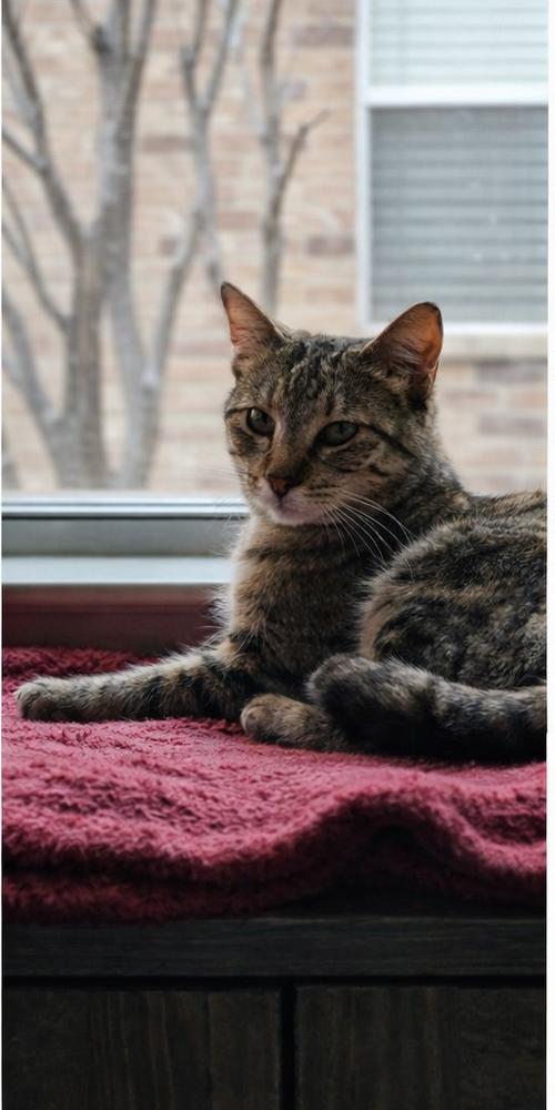 Tink — thumbnail 2