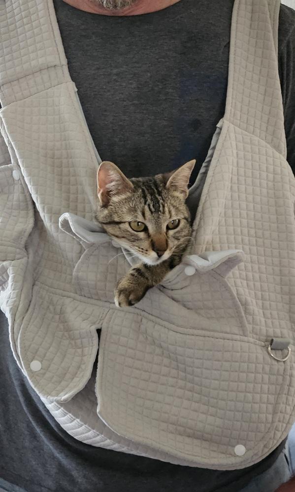 Tink — thumbnail 4