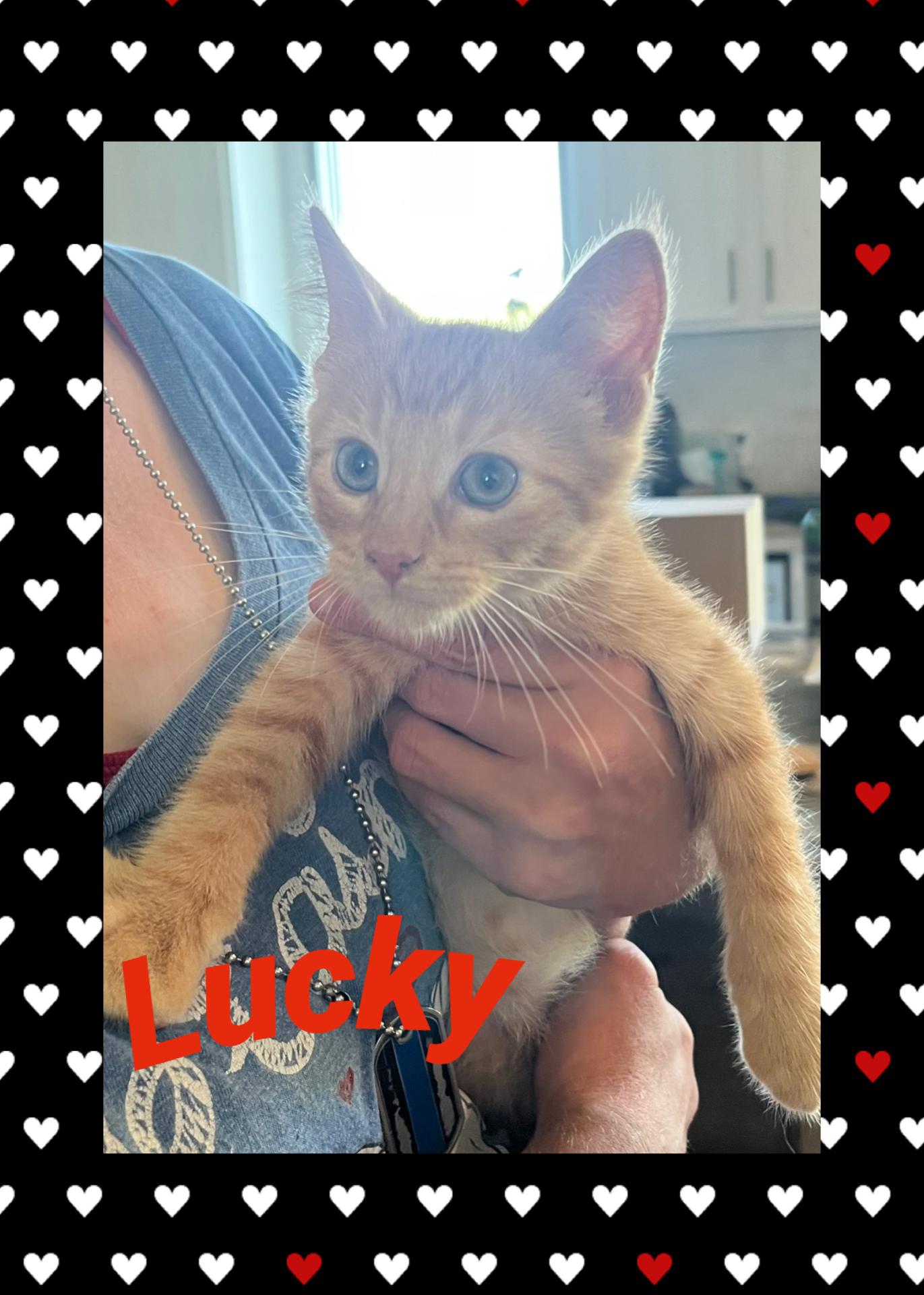 Lucky