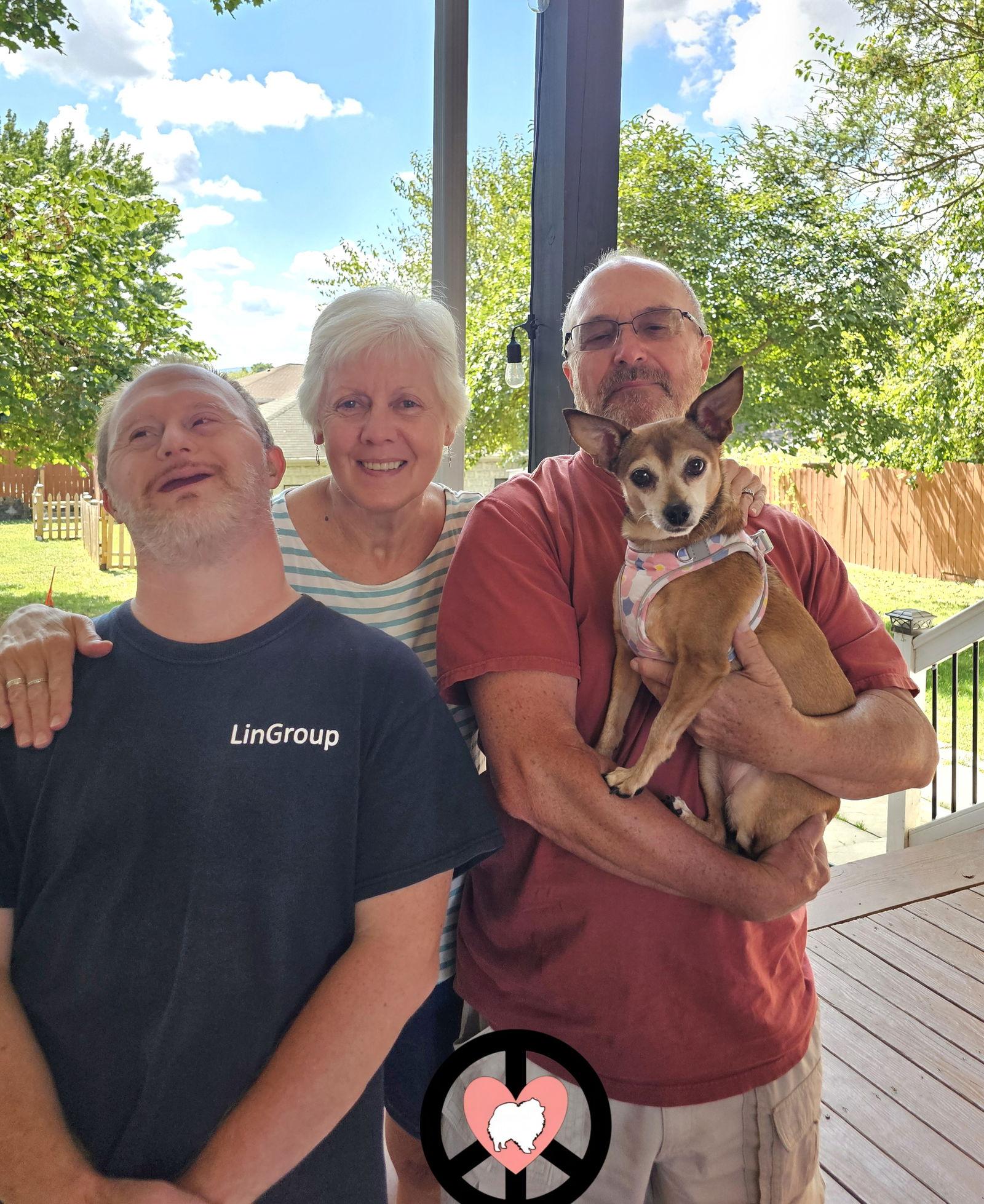 Enlarge Cinnamon Buns, a Adopted Chihuahua in Lebanon, PA image 3/3