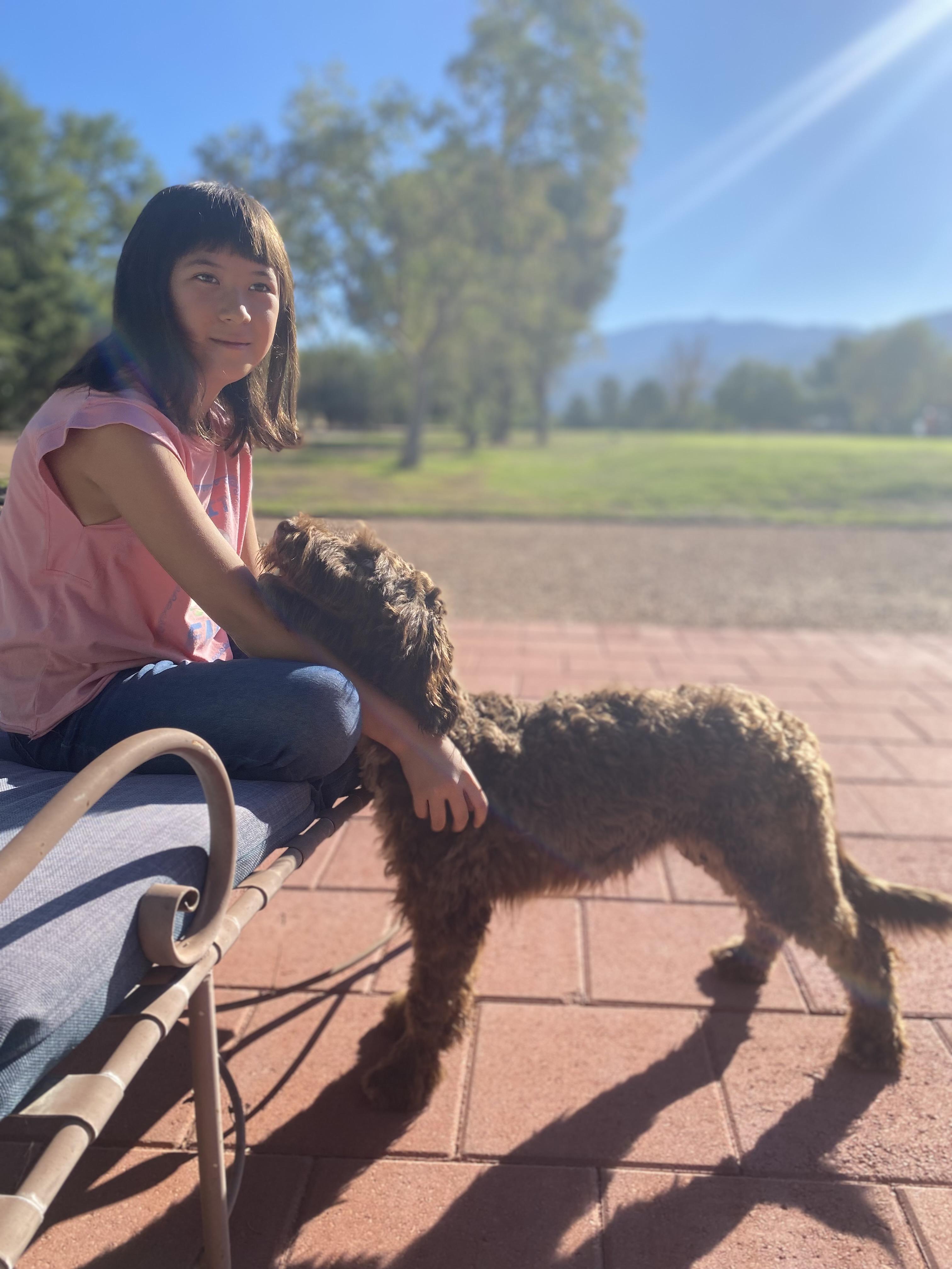 *PENDING 12/11/25* Marion, 7 month old Portuguese Water Dog & Mini Australian Shepherd Mix, an adopted mixed breed in Sierra Vista, AZ image 5/6