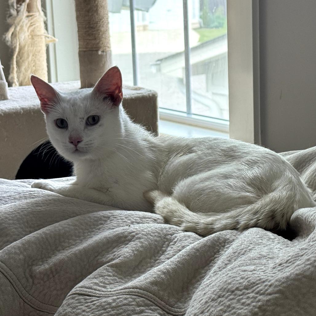 Russell — thumbnail 2