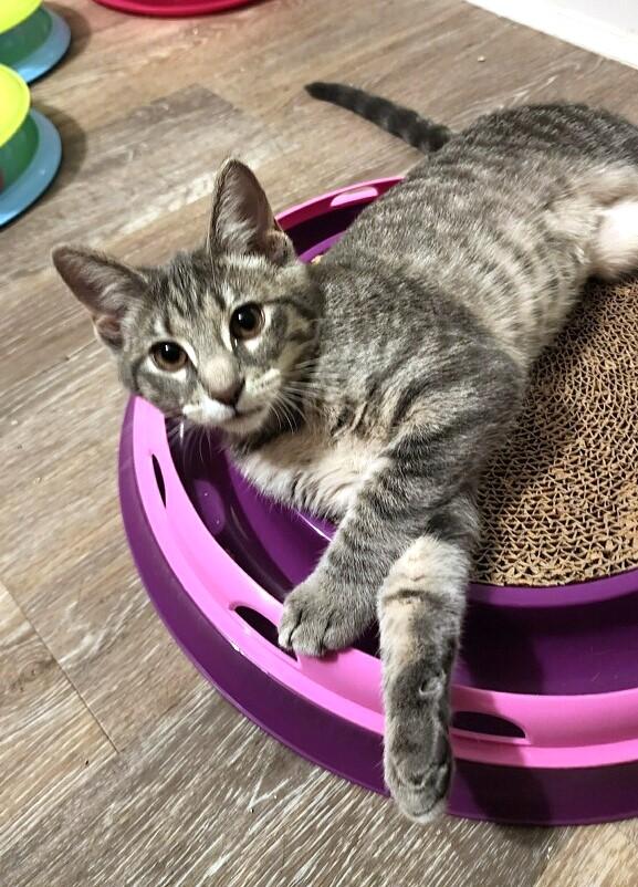 Genevieve thumbnail 2