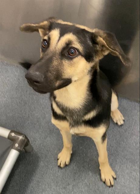 TOGEPI — thumbnail 2