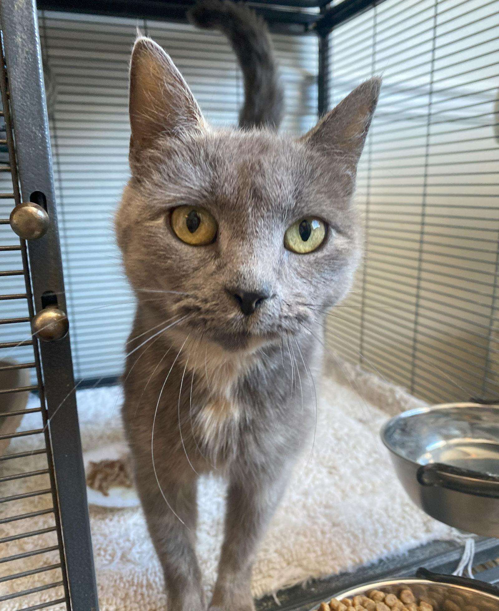 Meredith Grey thumbnail 3