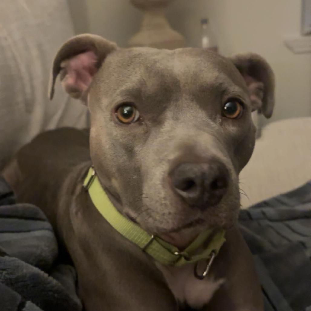 Ellie — thumbnail 3