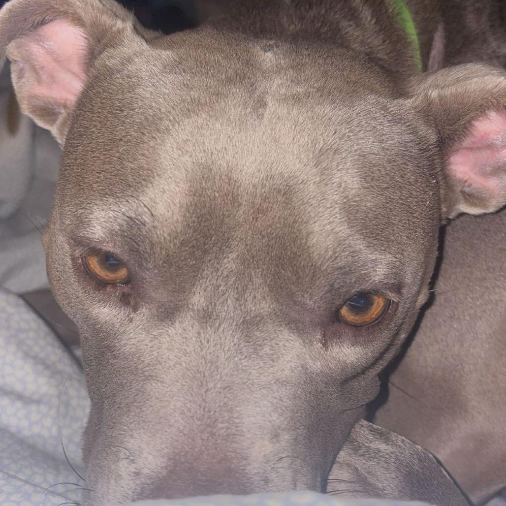 Ellie — thumbnail 5